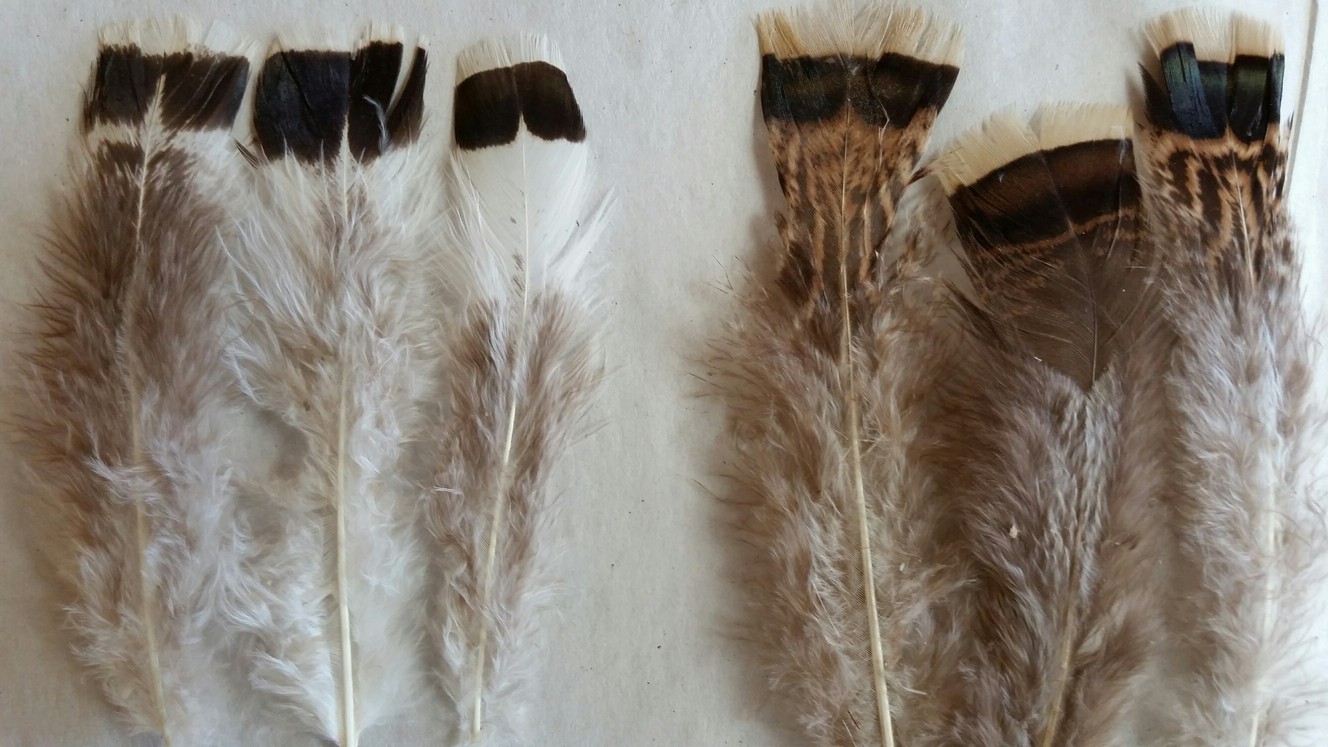 White Turkey Marabou Feathers 4-5 Inch per Ounce