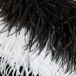 Fringe Ostrich Feathers