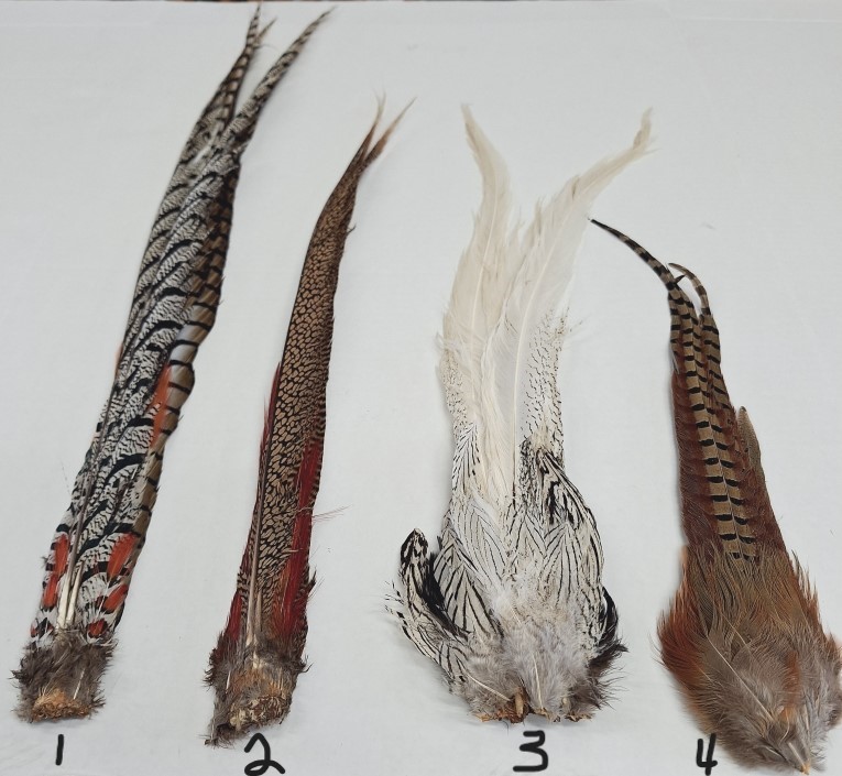 Complete Pheasant Tails Complete Pheasant Tails