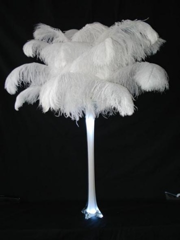 Wholesale Ostrich Feathers Wholesale Ostrich Feathers