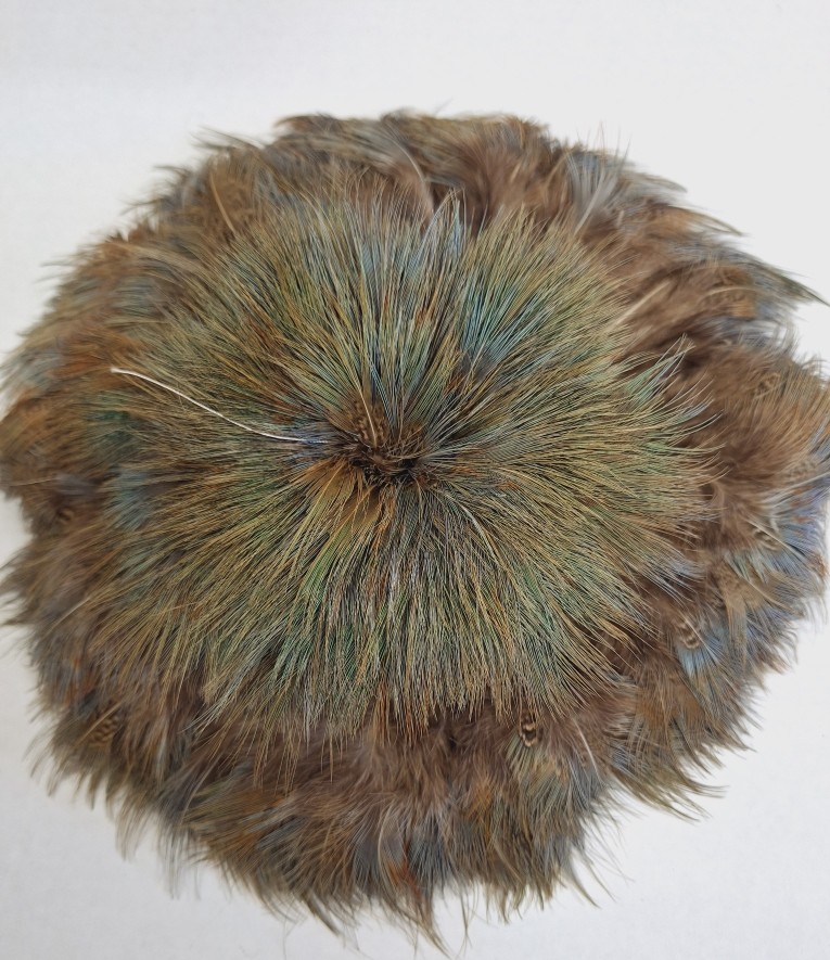Long Hairy Pheasant Plumage Long Hairy Pheasant Plumage
