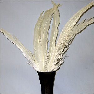 Silver Pheasant Tail Feathers