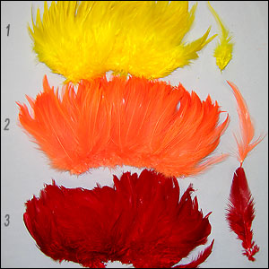 Rooster Feathers 