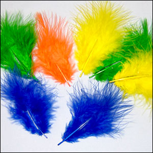 Turkey Feathers