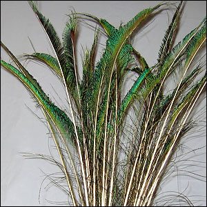 peacock feather swords