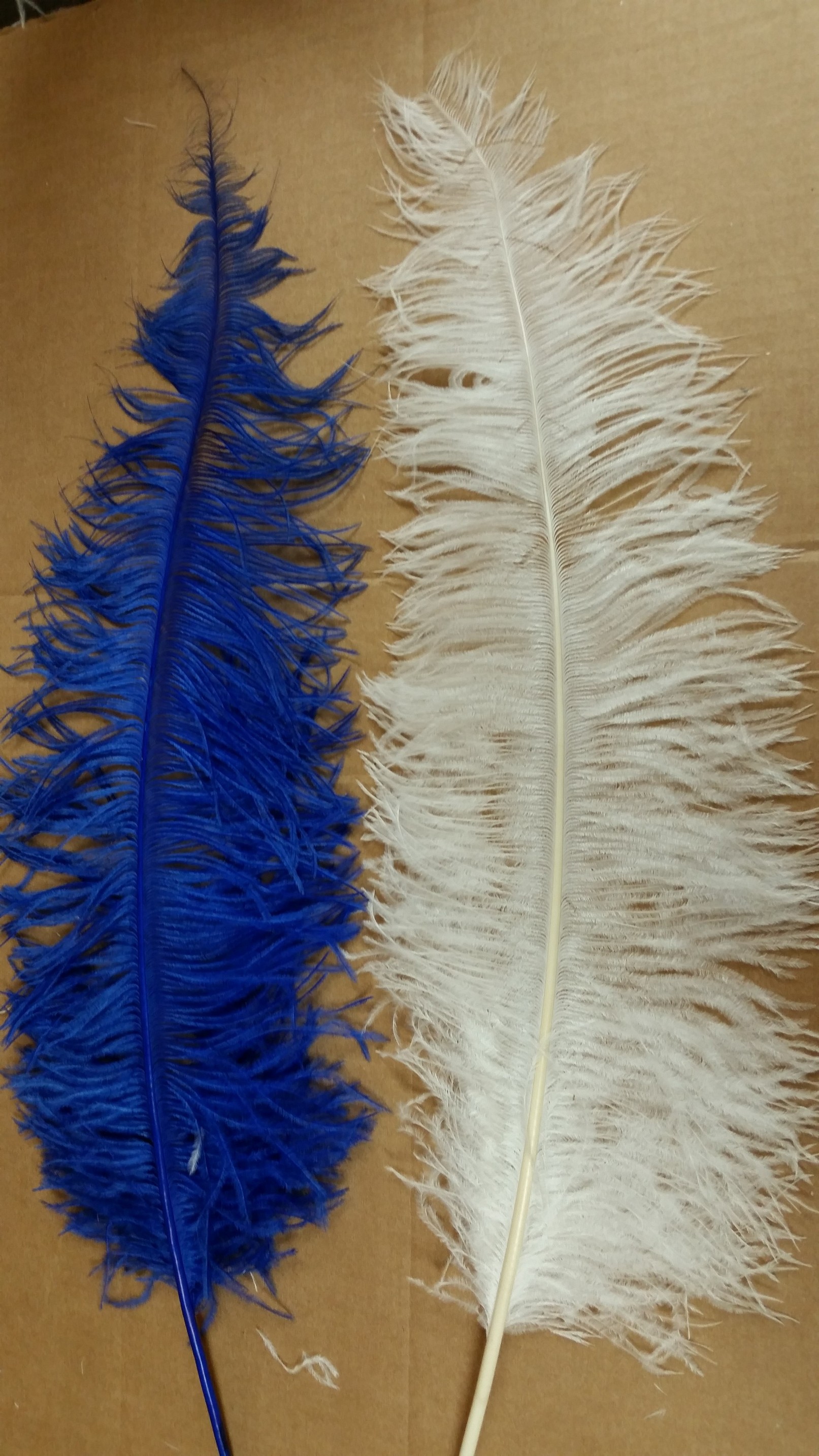 10/20 pcs Large Ostrich Feathers Bulk Making Kit 25-28 Long Feathers for  Party