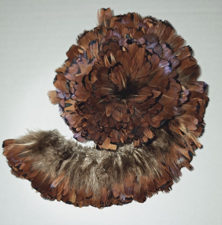 Redneck Pheasant Plumage Redneck Pheasant Plumage