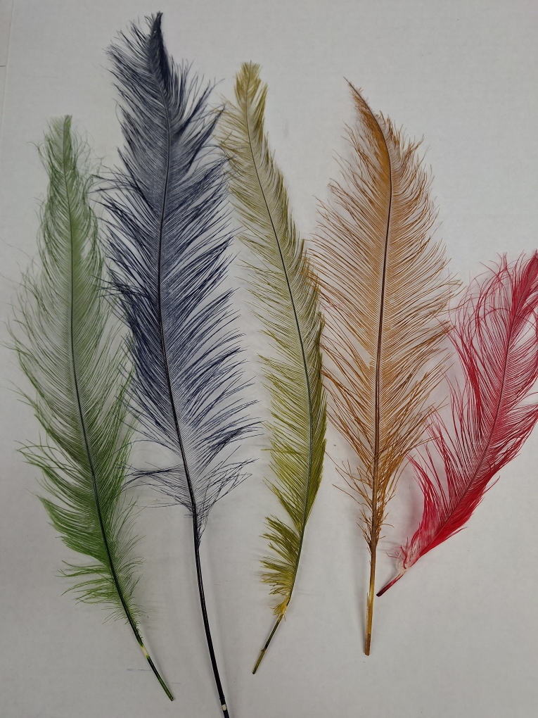 Vulture Feathers Vulture Feathers
